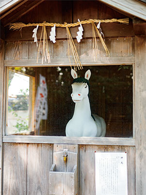 ２０２6年　午年 | ニュース和歌山