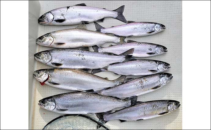 琵琶湖のレイクトローリングでビワマス連発【滋賀県】48cm頭に2人で10匹達成