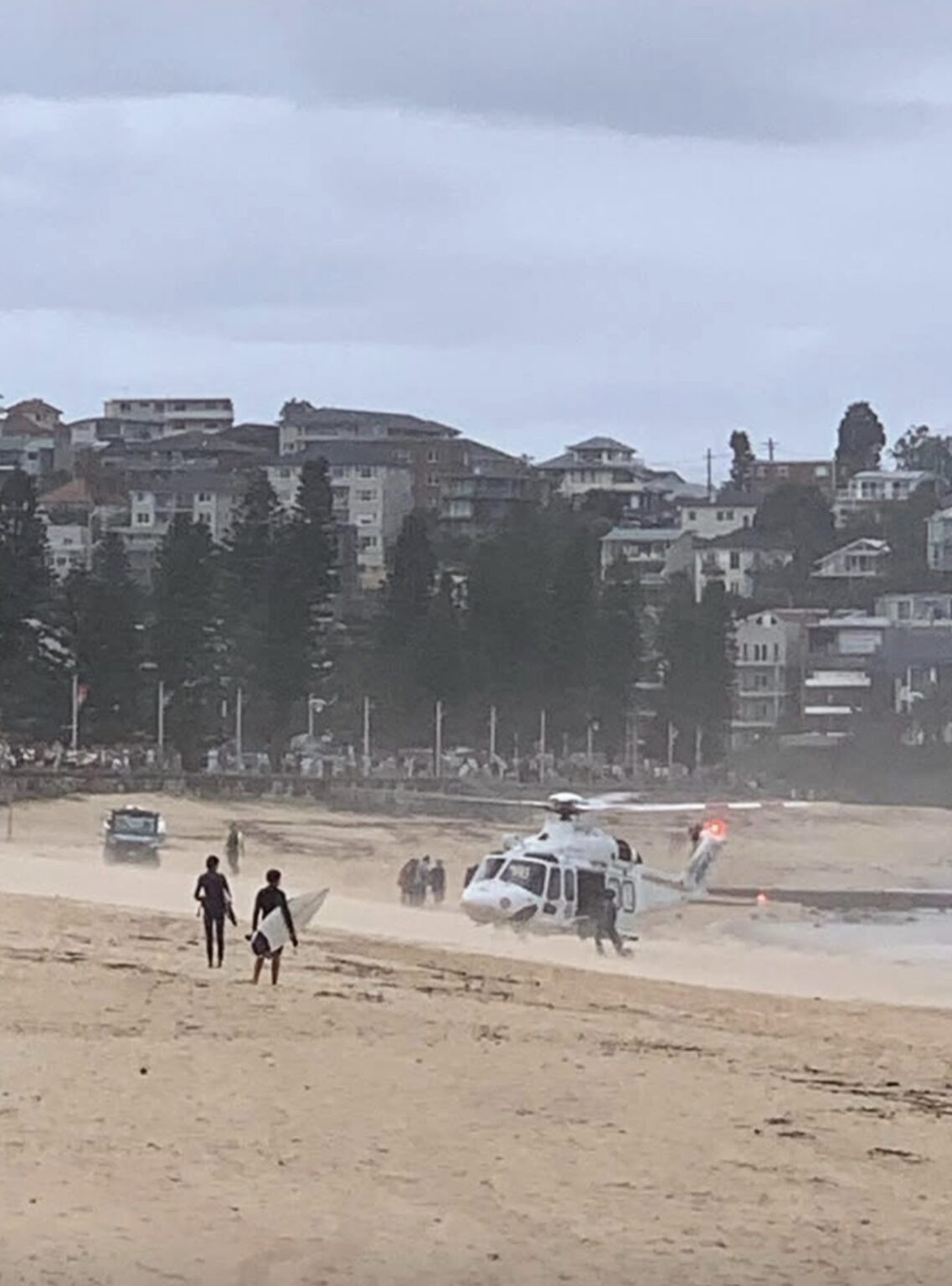 26時間以内に3度のシャークアタック！？異例の事態にオーストラリアのノーザンビーチが封鎖 | THE SURF NEWS「サーフニュース」