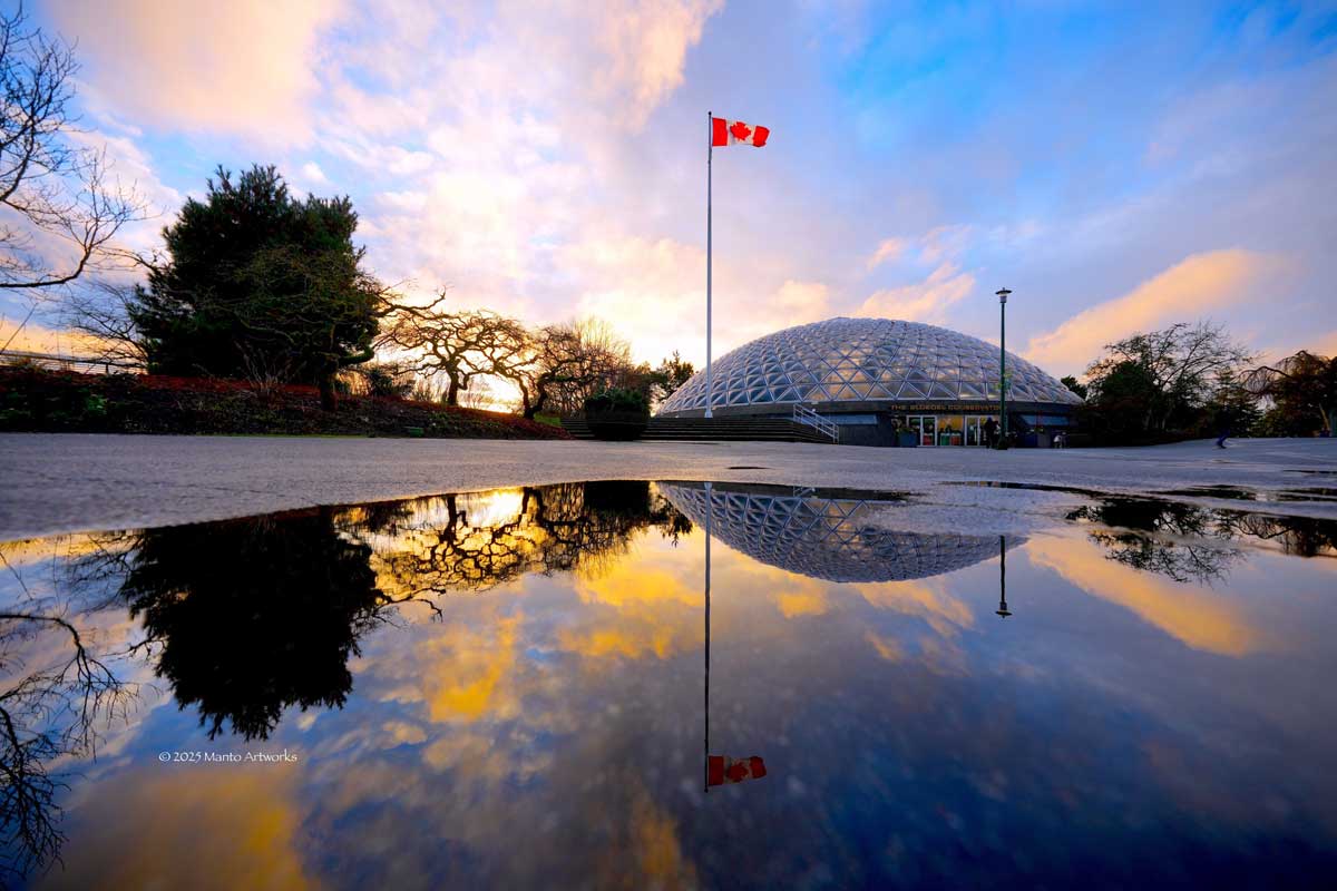 「Sunset at the Queen Elizbeth Park in Vancouver」By Manto Artworks