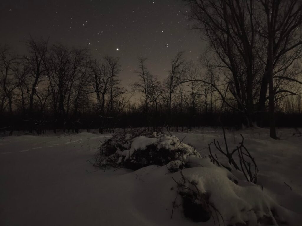 冬の森の星空の夜