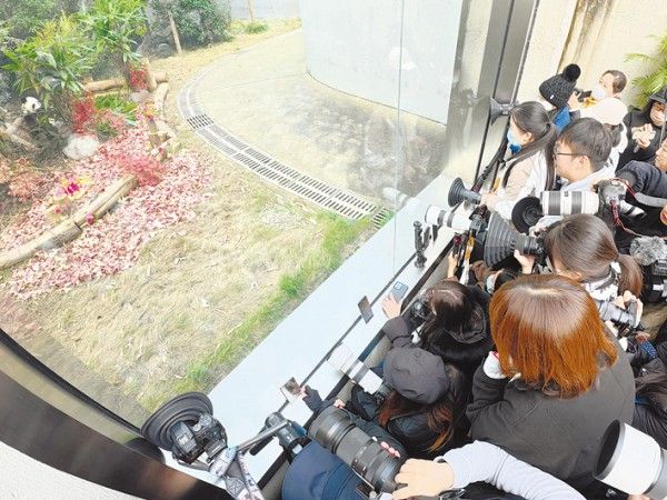 中国の「パンダ外交」とは　「パンダ・ゼロ」の後はどうなる？ 専門家が解説 ｜ 朝日小学生新聞 | 朝日中高生新聞