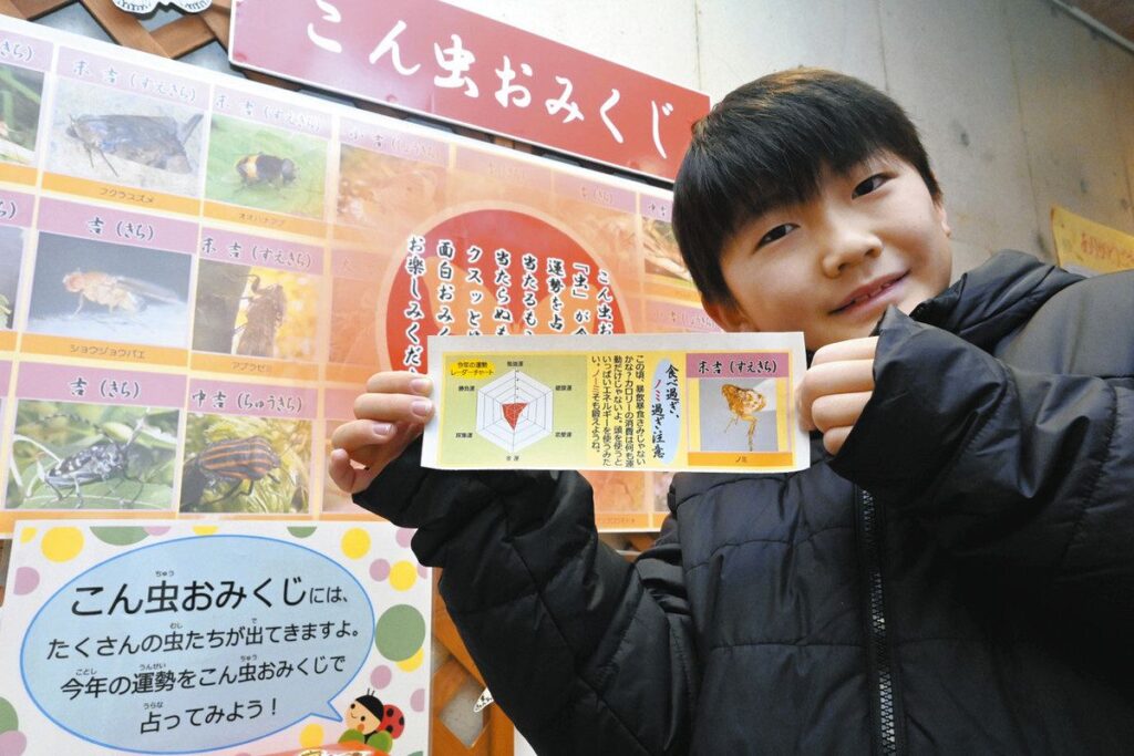 こん虫おみくじ 新年を占おう! 県昆虫館で開催:北陸中日新聞Web こん虫おみくじ 新年を占おう! 県昆虫館で開催:北陸中日新聞Web