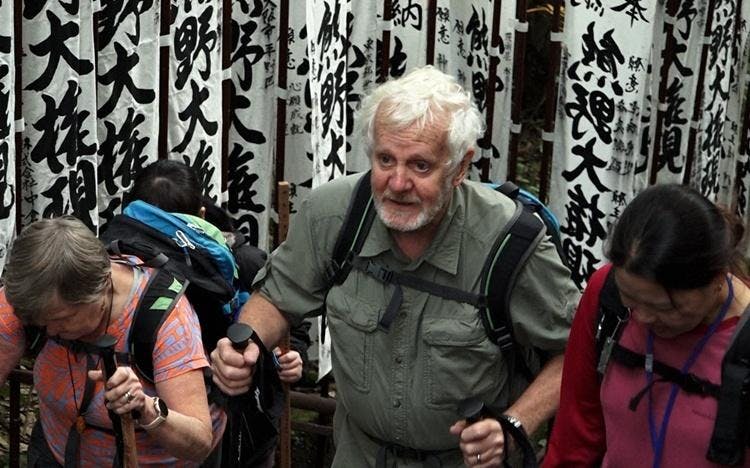 20年で外国人観光客が約60倍「熊野古道」を再生させたカナダ人“驚きのビジネス”：ガイアの夜明け | テレ東・ＢＳテレ東の読んで見て感じるメディア テレ東プラス