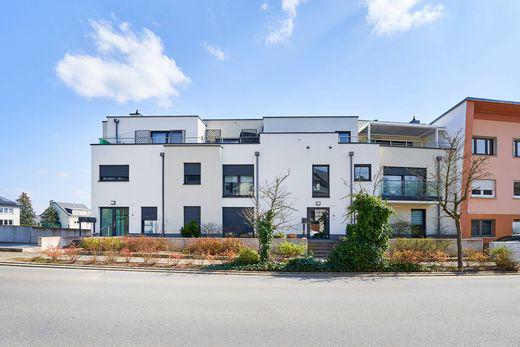 シンディック/財産管理が必要