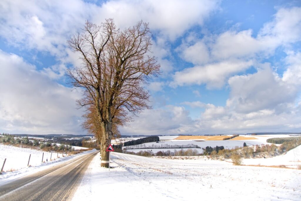 今日のイセレク