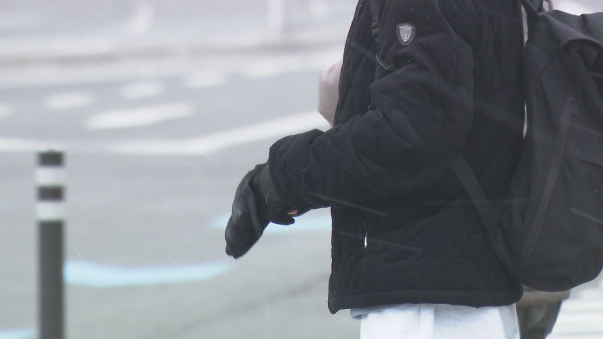 近畿に今季一番の寒気　和歌山市内でも吹雪　強風で「神戸ルミナリエ」作品の一部が倒れる、けが人なし