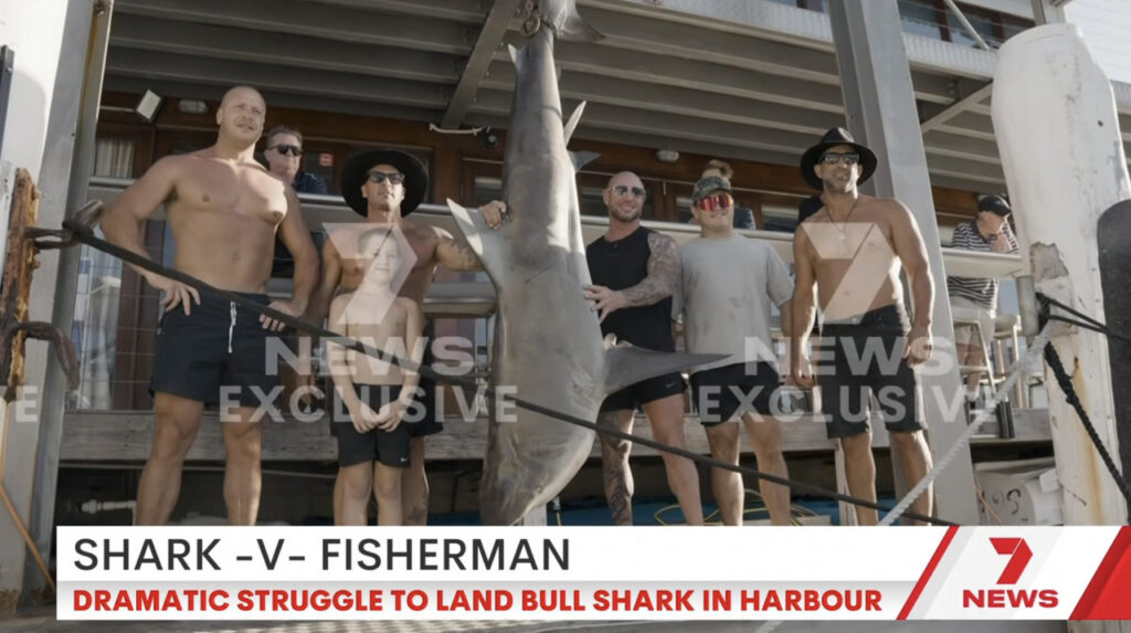 オーストラリアのレノックスヘッド周辺でシャークアタックが発生! | THE SURF NEWS「サーフニュース」