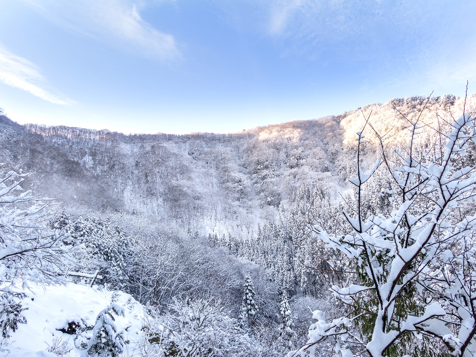 鳥取県民が選んだ「住み続けたい街（自治体）」ランキング