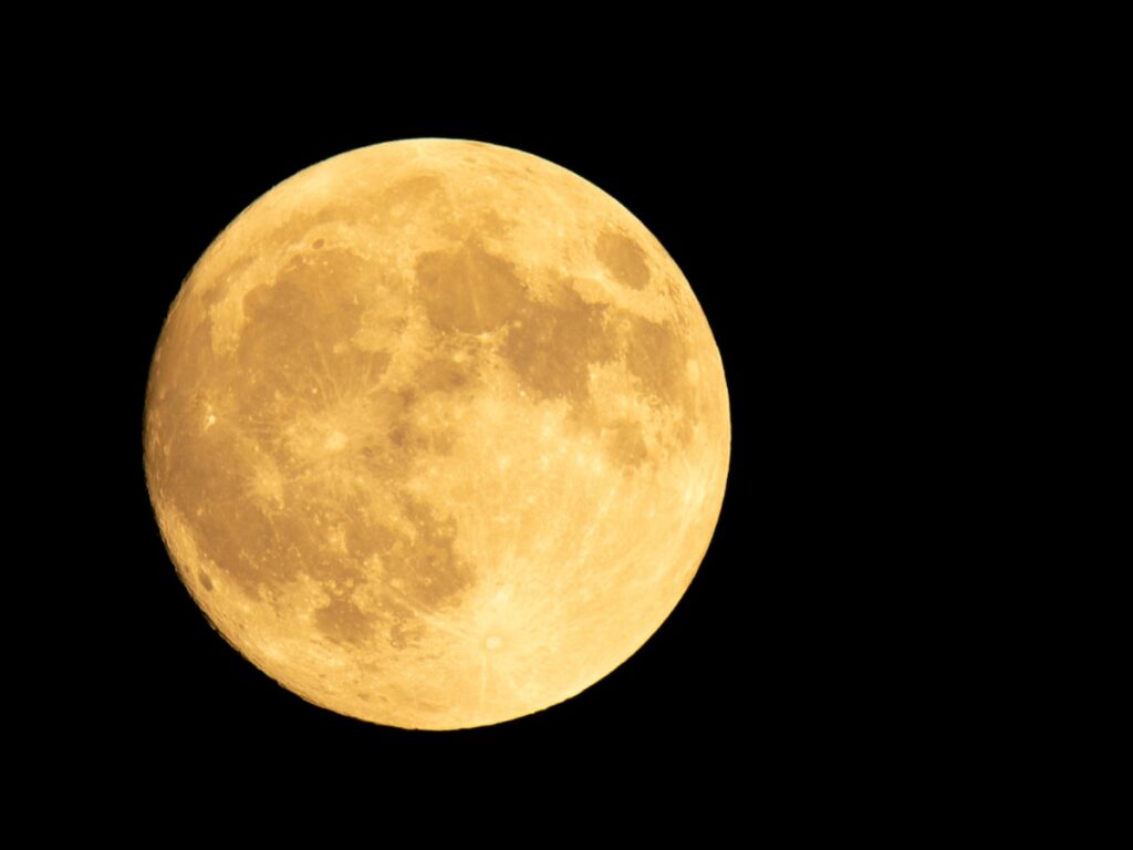 宮城県らしさを感じる「宮城県のお土産」ランキング！ 2位「萩の月」を抑えた1位は？【2026年調査】 - All About ニュース