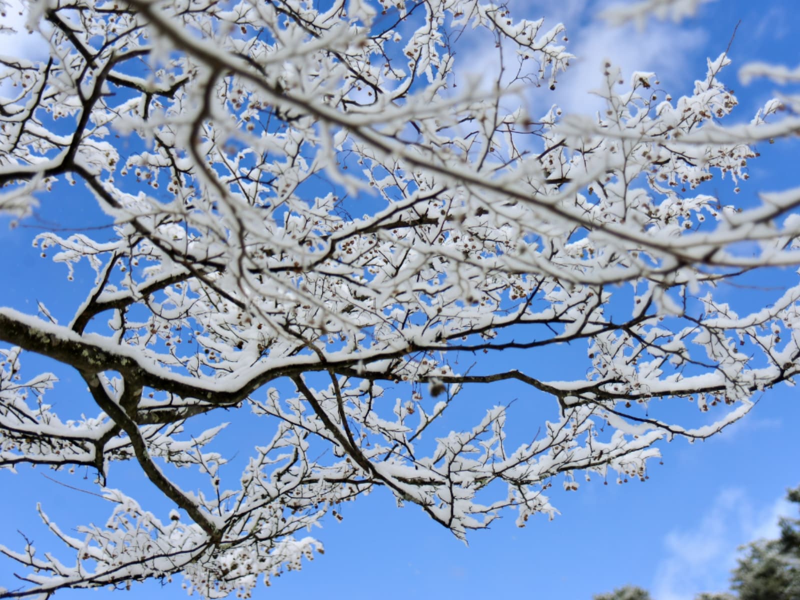 「広島県の穴場秘境」ランキング