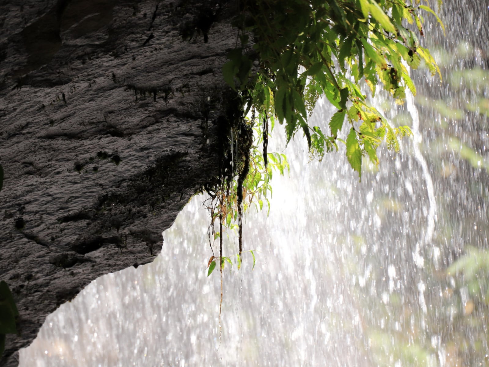 「島根県の穴場秘境」ランキング