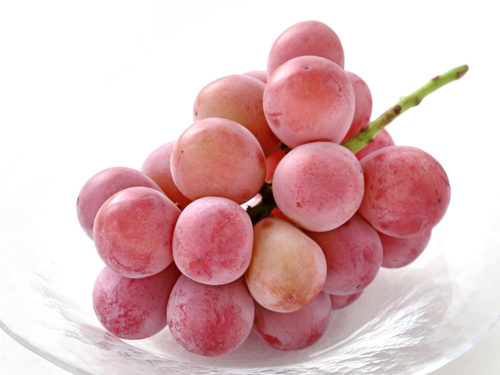 見た目がかわいいと思う「徳島県のお土産」ランキング