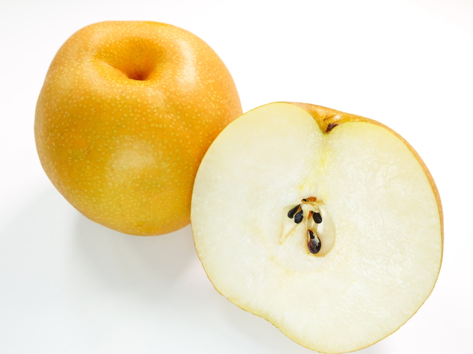 鳥取県らしさを感じる「鳥取県のお土産」ランキングの画像