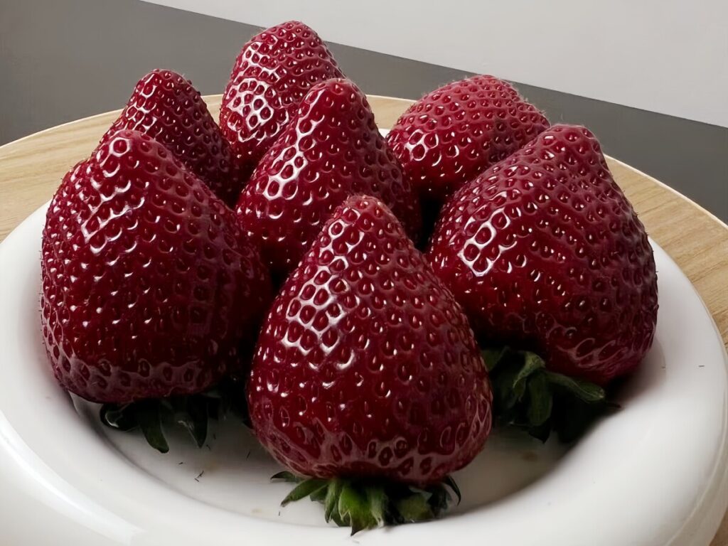 日本から導入？中国で新品種「黒イチゴ」が人気に―台湾メディア