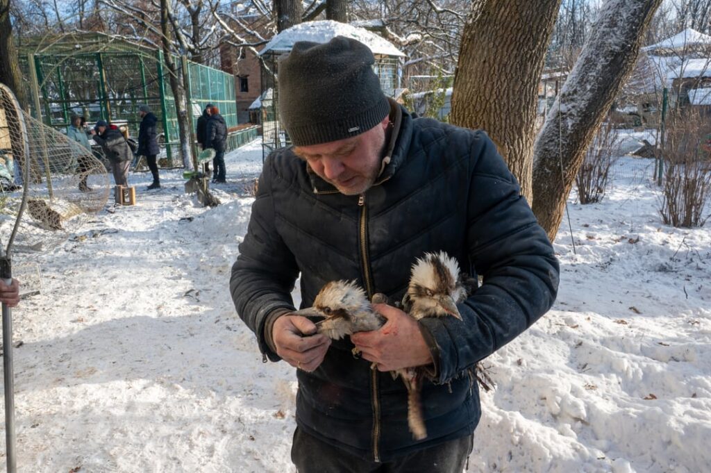 ライオンが負傷、鳥が死亡―ロシアによる襲撃でハリコフ近郊のエコパークが襲撃