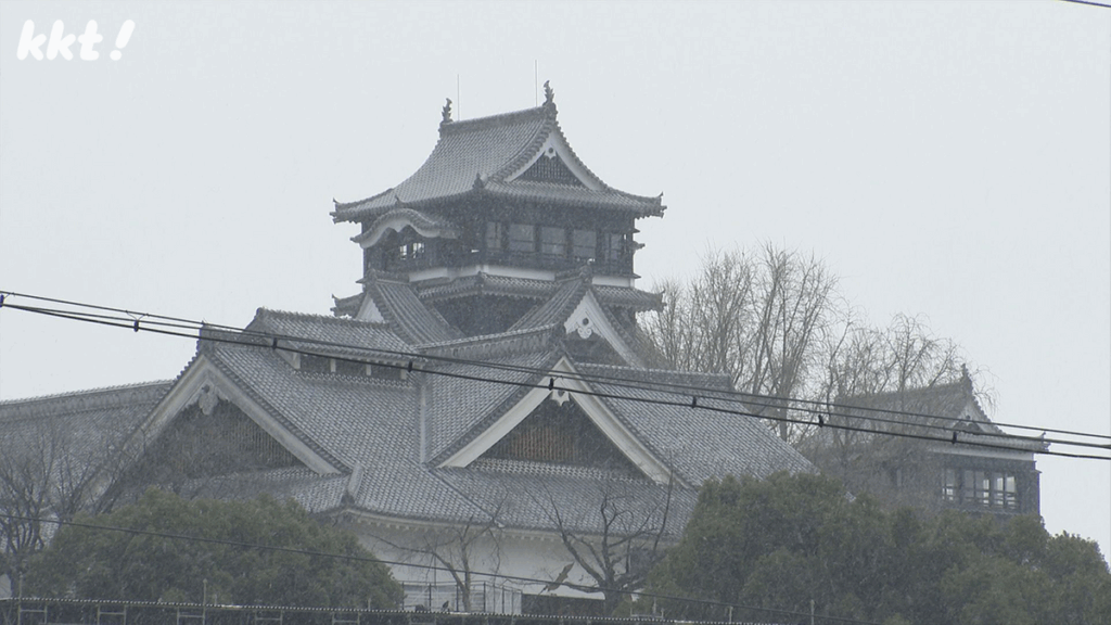 共有