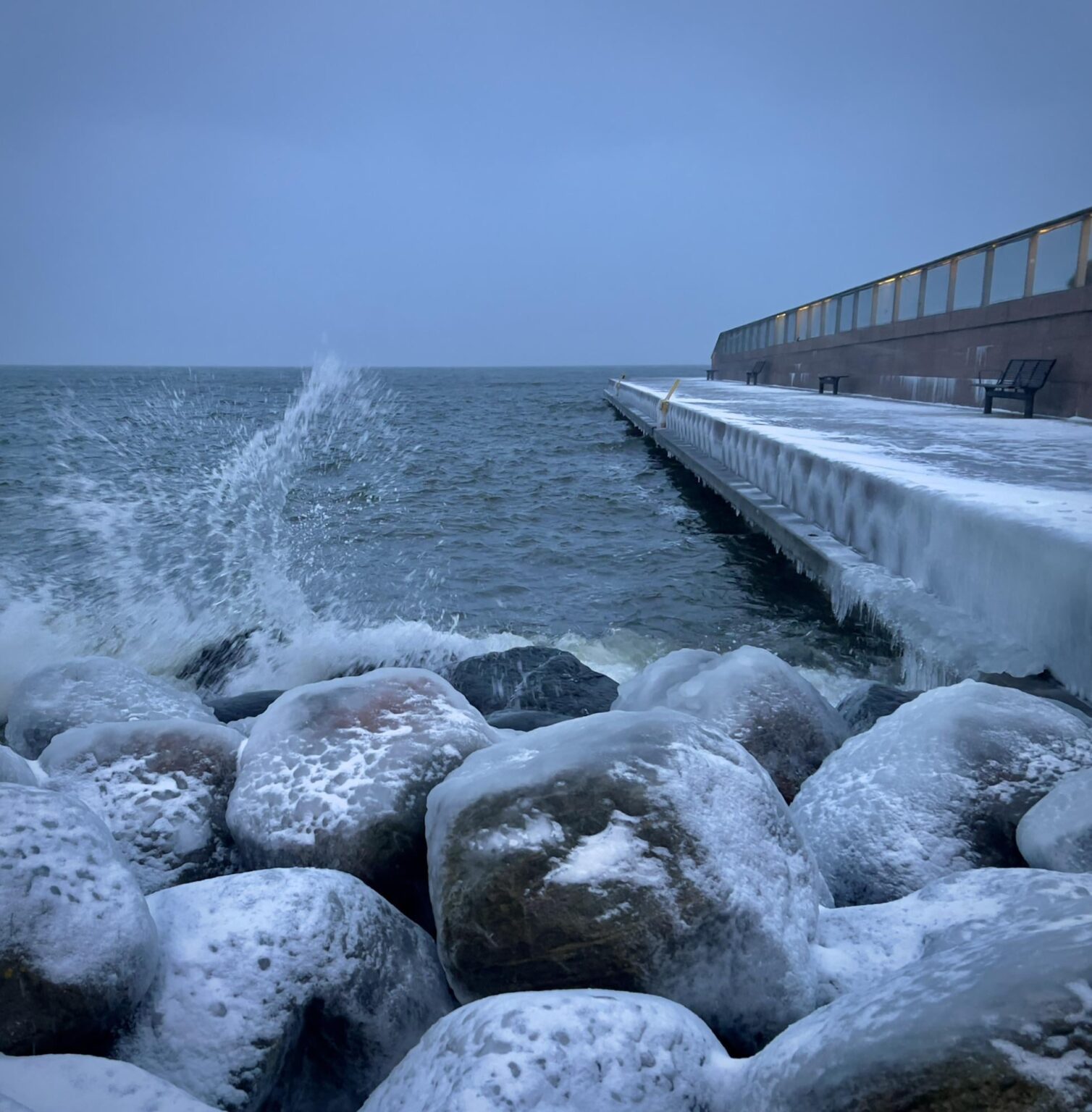 爽やかに泳ぎたい方はこちら❄️