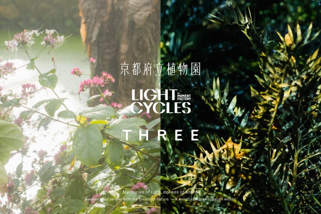 THREEが日本最古の公立植物園「京都府立植物園」とアートナイトイベント「LIGHT CYCLES KYOTO」にて、インスタレーションイベントを開催 | 株式会社ACROのプレスリリース