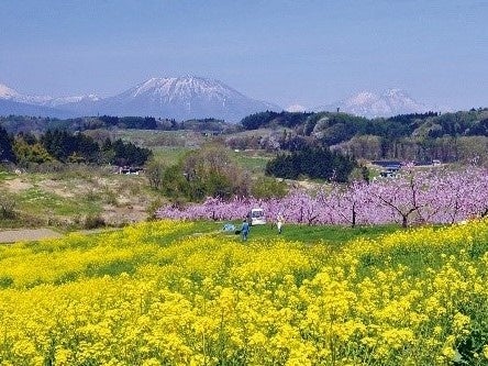 長野県 飯綱町 ２年連続で社会増を達成へ！ | 飯綱町のプレスリリース