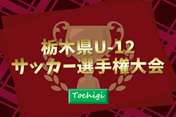 速報!2025年度 第54回栃木県U-12サッカー選手権 153チーム出場、1次ラウンド1/31 173試合全結果更新!決勝トーナメント組合せ掲載、1・2回戦は2/7開催!結果入力ありがとうございます! | Green Card ニュース 速報!2025年度 第54回栃木県U-12サッカー選手権 153チーム出場、1次ラウンド1/31 173試合全結果更新!決勝トーナメント組合せ掲載、1・2回戦は2/7開催!結果入力ありがとうございます! | Green Card ニュース