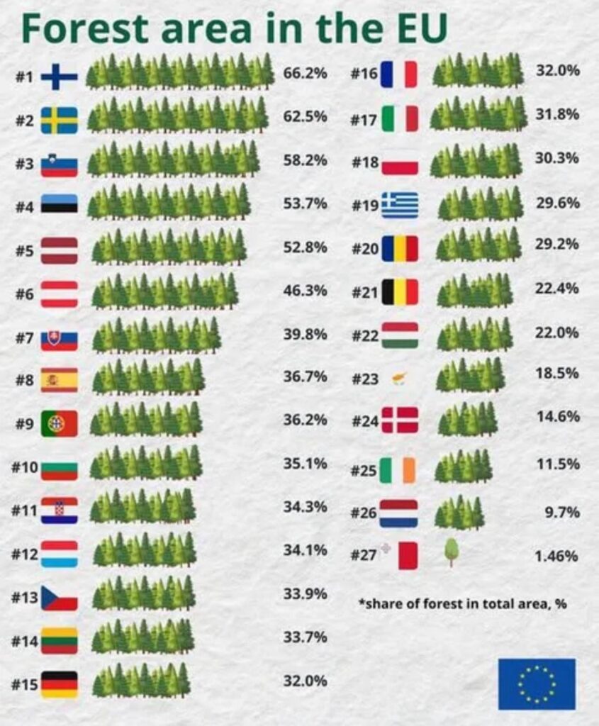 何かポジティブなことも