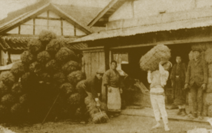 1909(明治42)年頃の吉崎酒造