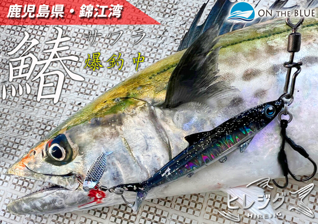 【ブレードジギング】鹿児島県・錦江湾で今、“サワラ”がメチャクチャ釣れているという衝撃ニュース | 釣りの総合ニュースサイト「LureNewsR（ルアーニュース アール）」