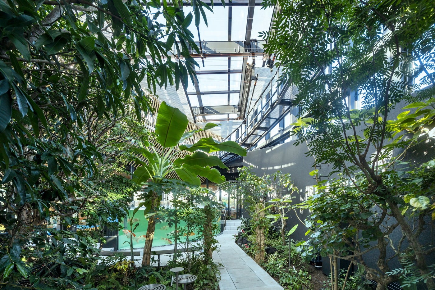 植物園「めぐりの森」／提供画像