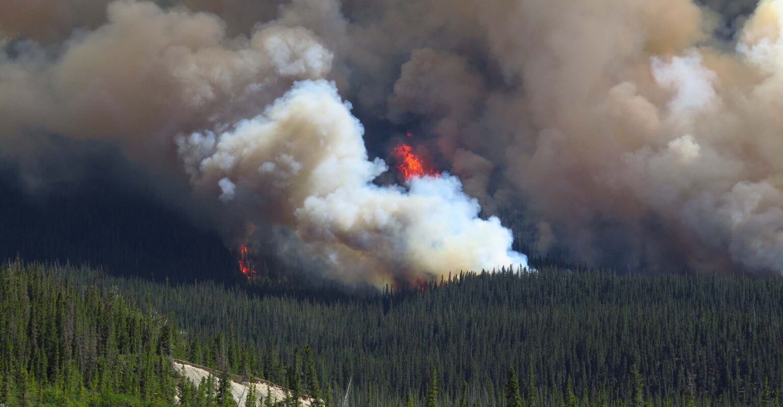 Wildfire Map Spotlight：Manitoba、Canada Wildfires