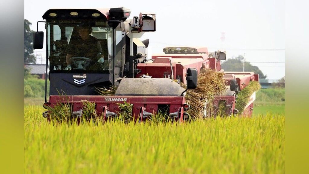 水を張らないコメ作り、作業の大幅省力化で「労働時間は７割減」…安定した生育「ビール酵母」で可能に ― 栽培技術確立に向け研究開発に