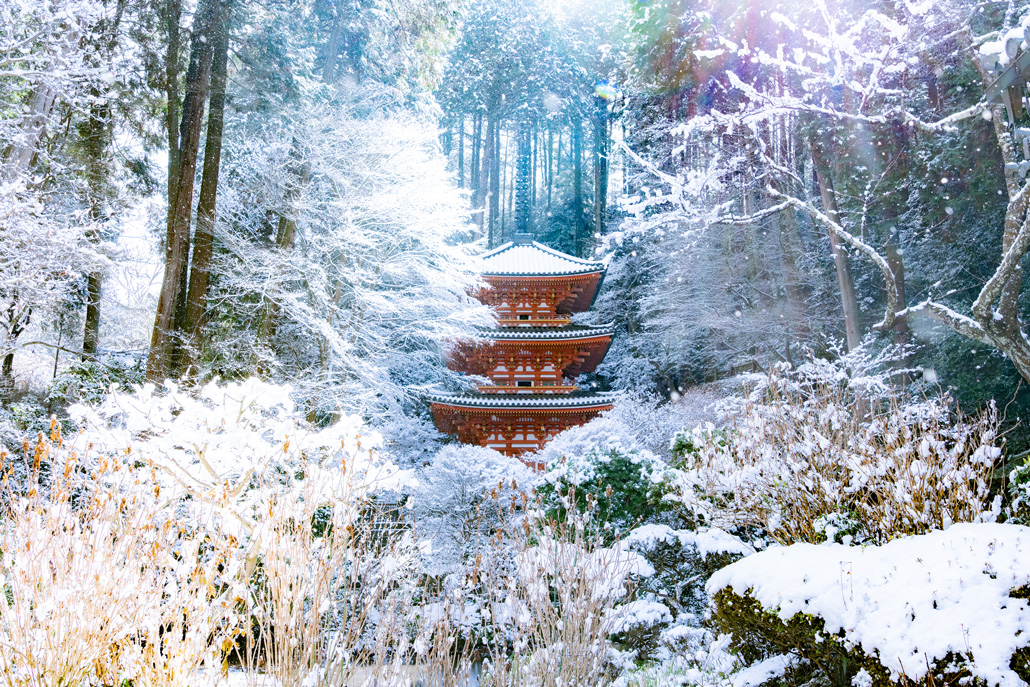和束町の雪景色画像３