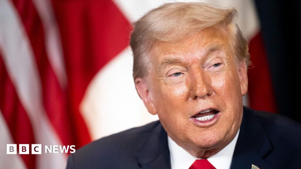 トランプ大統領、NATO軍がアフガニスタンの前線を回避したと主張し怒りを爆発させる