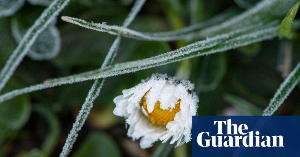 英国で何百もの植物が冬に開花、気候変動の「目に見えるシグナル」