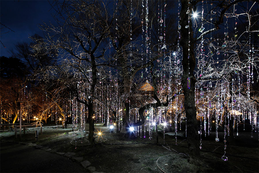 「KYOTO NIPPON FESTIVAL 2026 -時をこえ、華ひらく庭-」の様子、梅苑「花の庭」《 光と花の庭 》