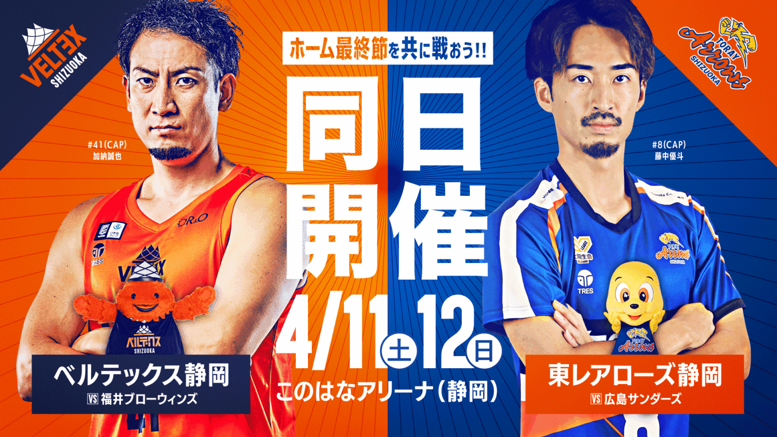 4/11-12 東レアローズ静岡 同日開催！第30節 福井戦会場決定および来季メインアリーナに関するお知らせ | 【公式】ベルテックス静岡／VELTEX SHIZUOKA