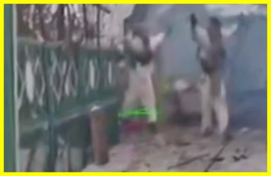 怯えたロシア空挺部隊３人が手を上げて隠れていたところから出てきて、ウクライナの地上ロボットの前に武器を置いた。