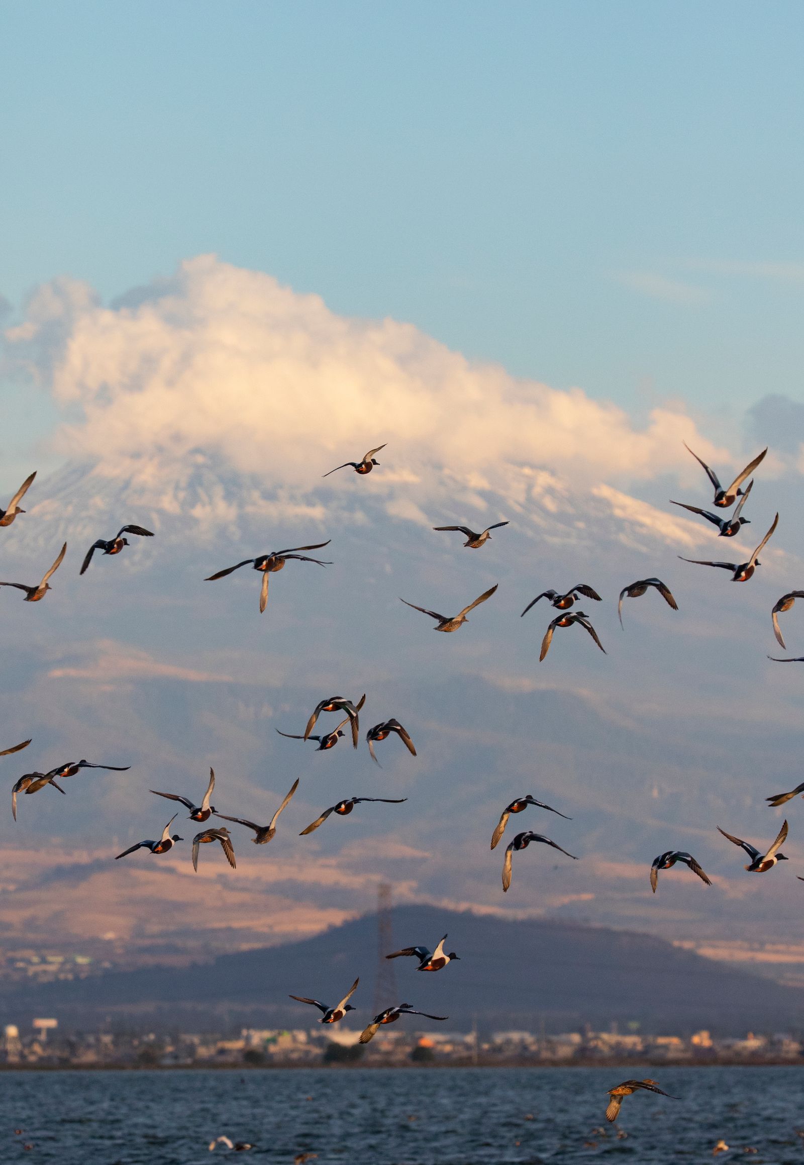新たに整備された公園の区域内に位置するナボル・カリージョ湖。