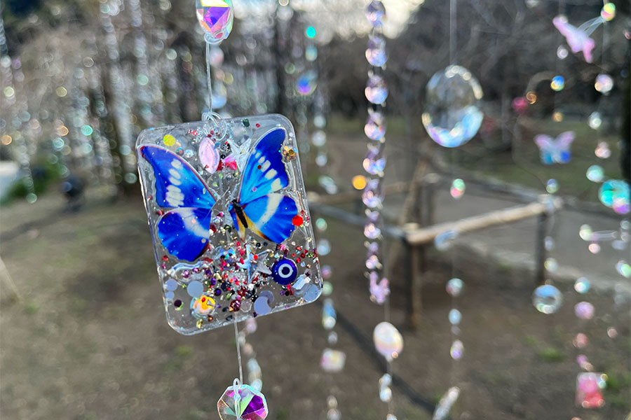 「KYOTO NIPPON FESTIVAL 2026 -時をこえ、華ひらく庭-」の様子、梅苑「花の庭」《 光と花の庭 》（1月29日 Lmaga.jp撮影）