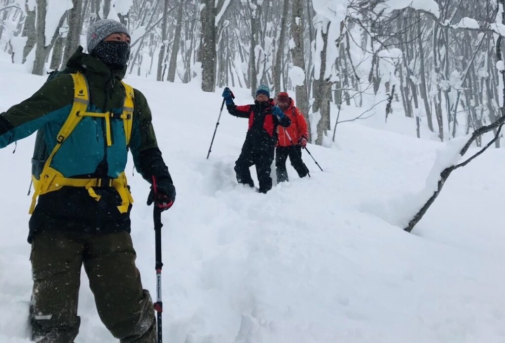 青森大学が八甲田山中の新湯エリアを舞台にした観光ツアー「八甲田新湯スノーシュープライベートツアー」を開発、学生がガイドを担当 ― 雄大な自然の中でブナに囲まれた温泉やスノーシューを楽しむ - 大学プレスセンター