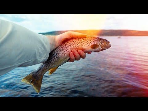 シューシェーン近郊の静かな夏 - カヌー、釣り、長い日差し 🌲🎣 - YouTube