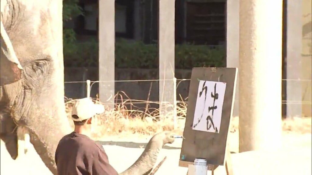 「うま」と「午」アジアゾウのみどり 新春の書き初め 宮崎市フェニックス自然動物園 (1/2)