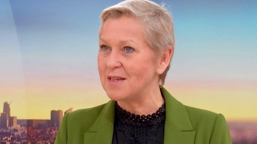 15 歳未満のソーシャル ネットワークの禁止: 「これは始まりにすぎません。VPN は私のリストの次のテーマです」と AI デジタル大臣のアンヌ ル ヘナンフ氏は断言します