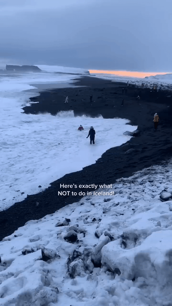 ウェブ上に掲載された観光客向けの優れた教育ビデオ