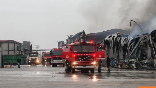 トリカラのヴィオランダで起きた悲劇：「女性たちは小さな子供がいて、午前中に子供の世話をするため、夜勤を選んだ」