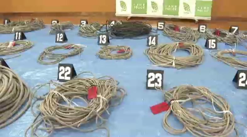 農業用ハウスから約370万円相当の銅線弟んだ疑い 20代弟4人が30件の犯行に関与「遊ぶ金欲しかった」 せん定ばさみで切断し持ち去る 福岡