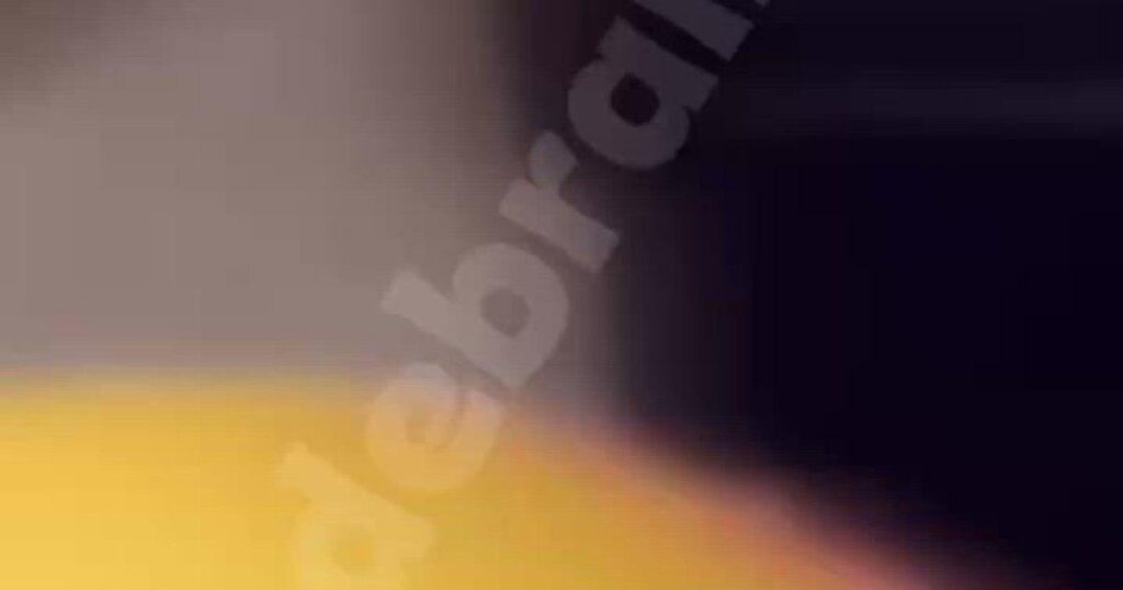 ブライラの高校のトイレで生徒がナタで襲われた。加害者は暴力歴のある未成年で、その場面を撮影し、オンラインで公開した