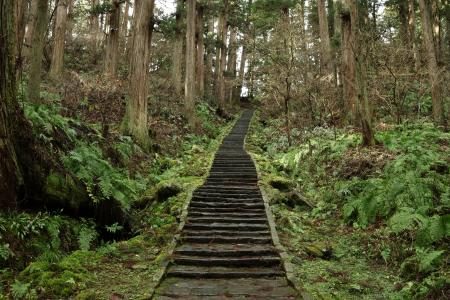 修験道の聖地、歴史と文化守れ　山形・羽黒山で春から入域協力金