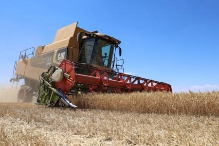 ロシア占領地産穀物、中東に　「窃盗」とウクライナ