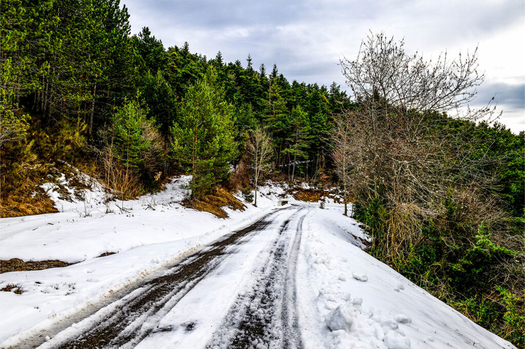 【タイム結果】2026年WRC第1戦ラリー・モンテカルロ SS3後